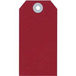 Avery Shipping Tags Size 5 120x60mm Red 