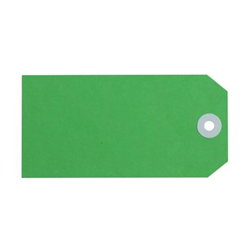 Avery Shipping Tags Size 5 120x60mm Green 